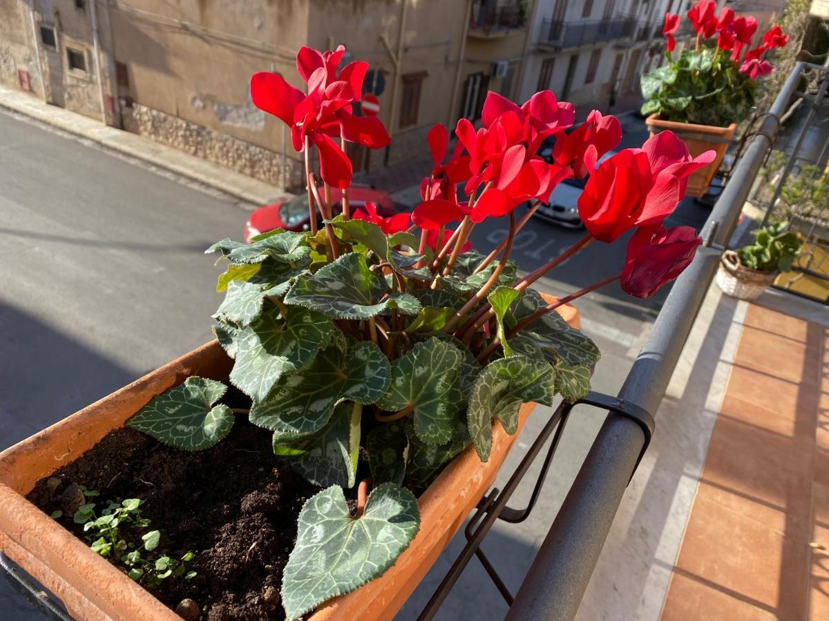 Apartment In The Center Terrasini Exterior foto